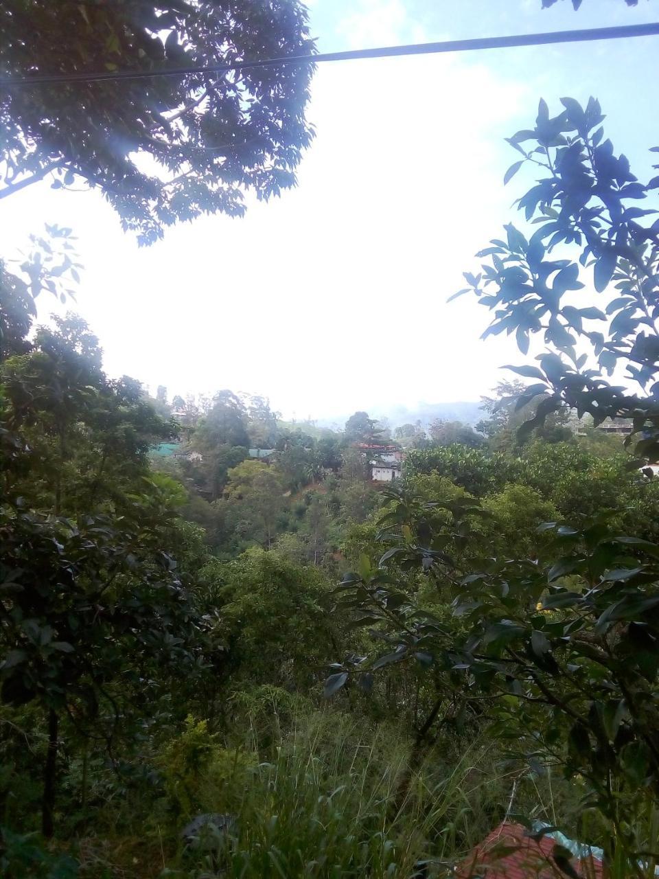 Kavindu Homestay Ella Buitenkant foto