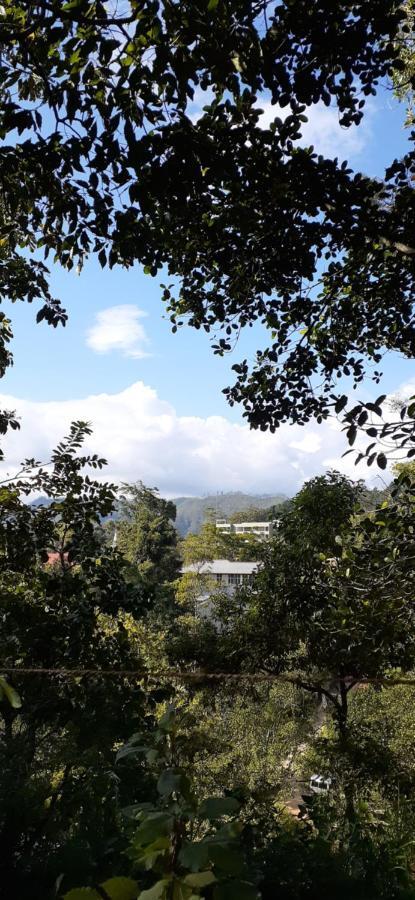 Kavindu Homestay Ella Buitenkant foto